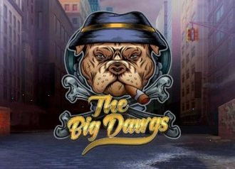 BIG DAWGS DOG